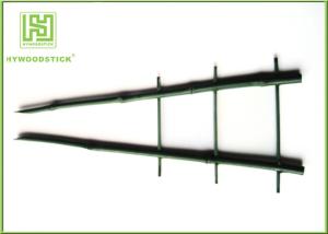 China Horticulture Large Bamboo Plant Sticks , Garden Bamboo Decorative Sticks wholesale