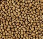 Twin Screw SUS Fish Feed Extruder Fish Food Manufacturing Machines