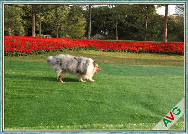 Residential / Commercial Landscaping Pet Artificial Turf With Monofil PE Curly