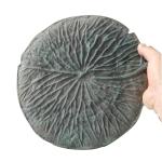 Turtle Metal Stepping Stone Cast Iron Crafts For Garden