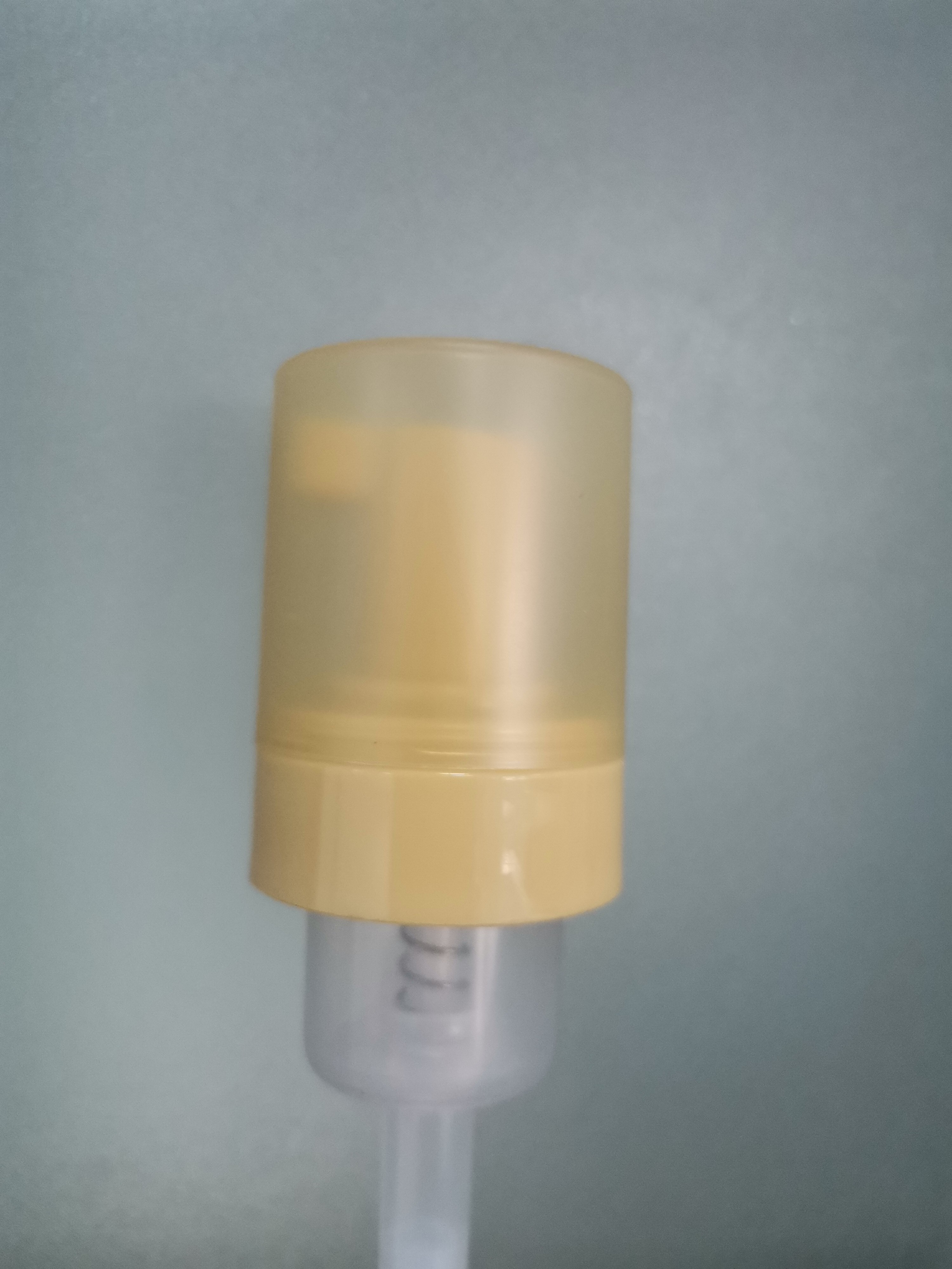 Minin Bottle Head Brushed Stainless Steel Foam Pump With Clear Overcap