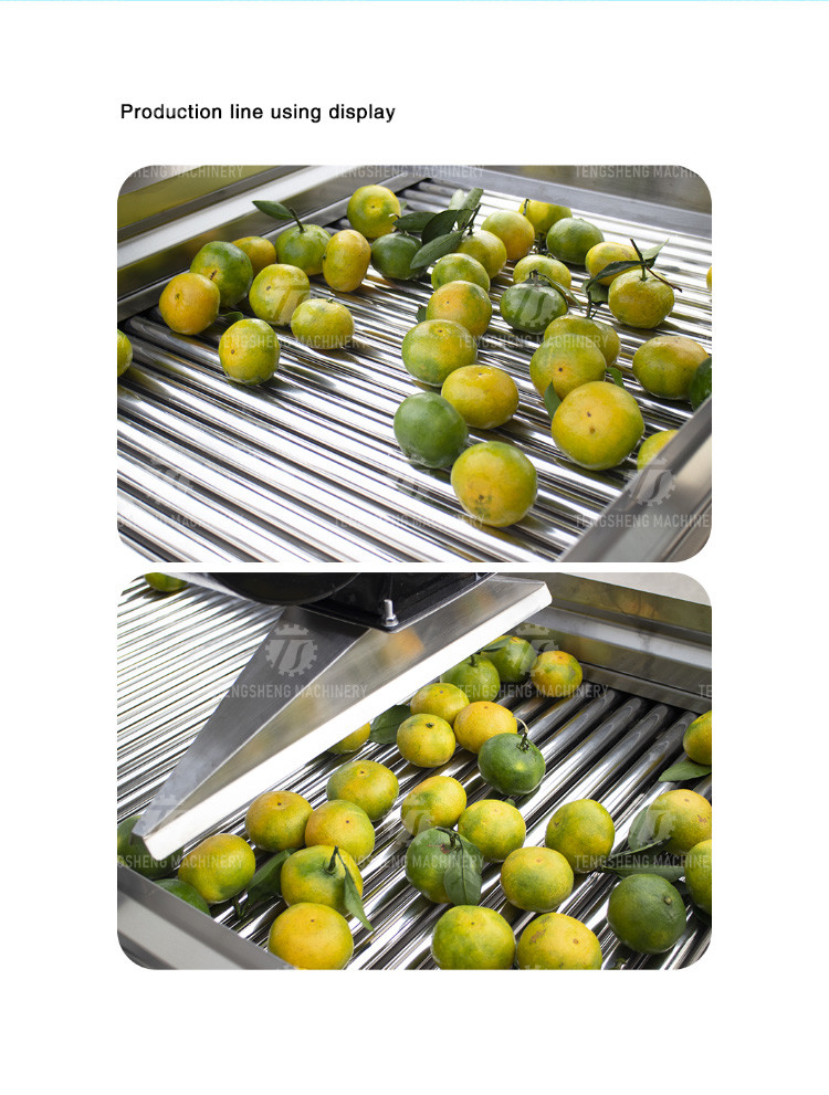 350KG 380V Vegetable air drying line fruit parallel air drying machine packaging air drying