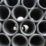 Hot Rolled Deformed Steel Bars For Construction Hrb400/Hrb500/Q235 Grades