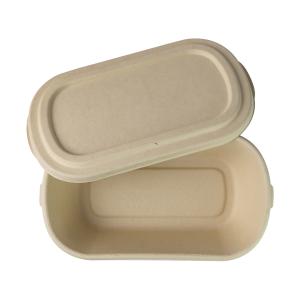 China 800ml Rectangular Disposable Packaging Containers , Bamboo Fibre Paper Pulp Box wholesale