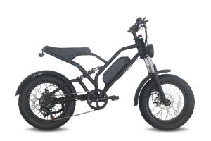 China Mechanical Disc Brake High Speed Ebike , 20inch Aluminium Electric Bike wholesale