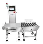 RT16C Dynamic Weighing Scales For Food Nuts 220V