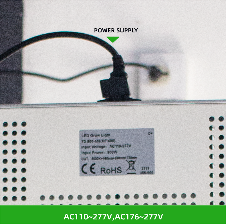 Commercial Greenhouse Grow Lights 800W Red And Blue Spectrum LED Grow Lights Hydroponics