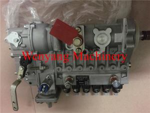 China Supply China Cummins engine spare parts injection pump 49994681 wholesale