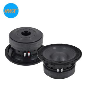 China Double Magnet 10 Inch Woofer Speaker wholesale