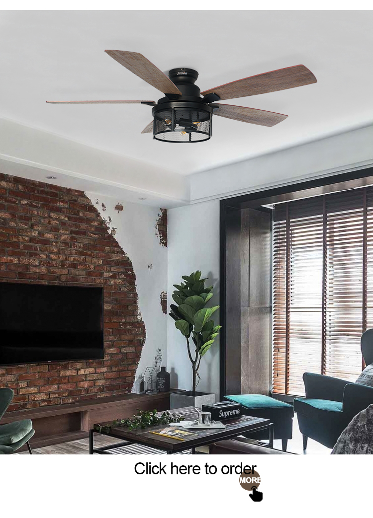 2- 110-240V/50Hz-60Hz Lighting Ceiling Fan with Remote Control and Fancy Iron Design