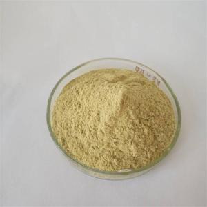 China Pharmaceutical Grade Dried Ginger Powder Price wholesale