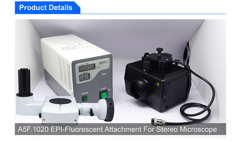 A23.1001-F Flourescent Stereoscopic Zoom Microscope Wf15x