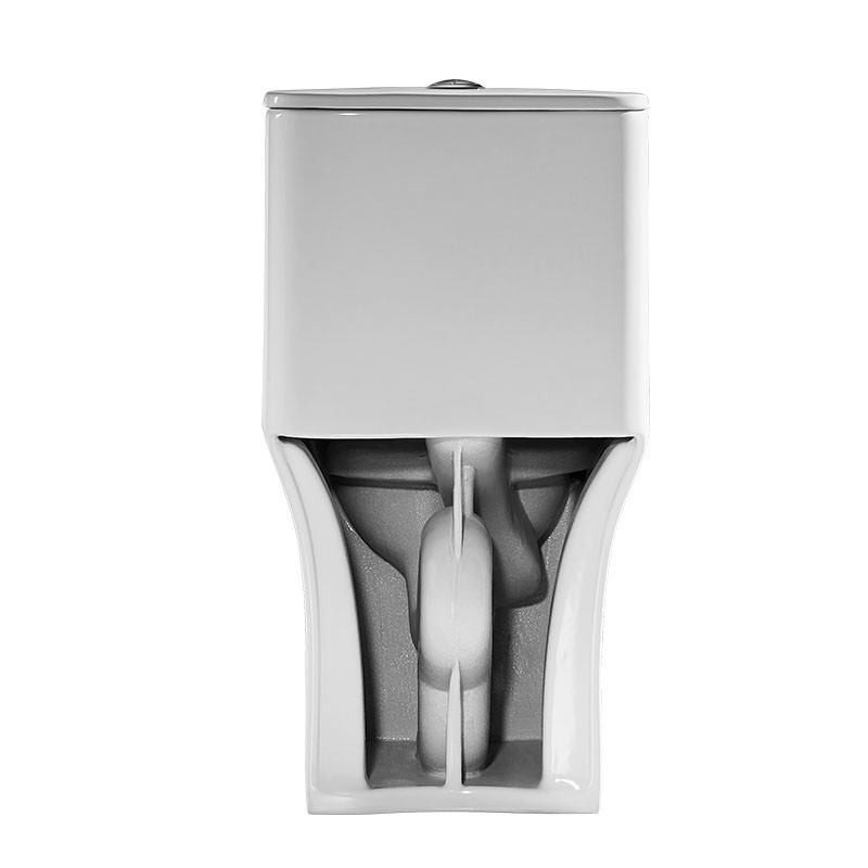 ARROW One Piece Toilets 679×371×693mm Siphonic Flushing