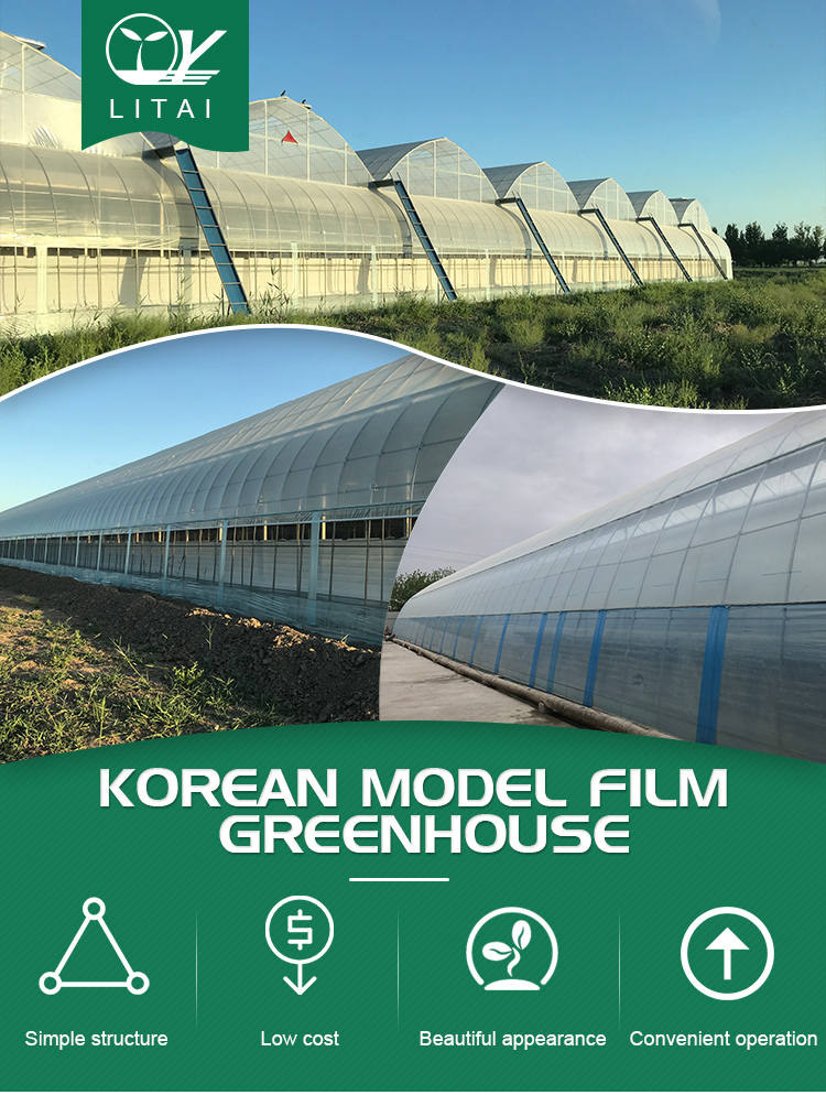Automatic Controlling System Single Layer Greenhouse for Commercial Korean Model Film