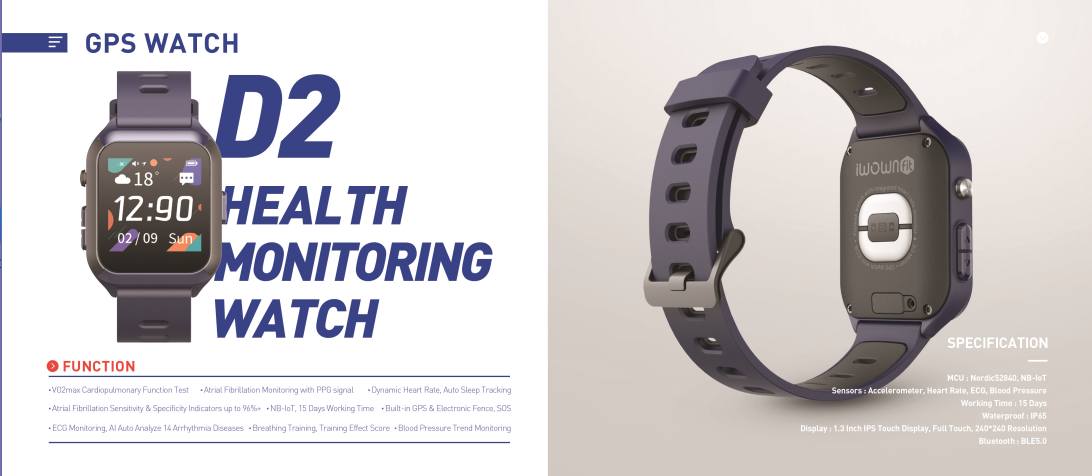 Custom IP67 Pedometer Fastrack Fitness Band