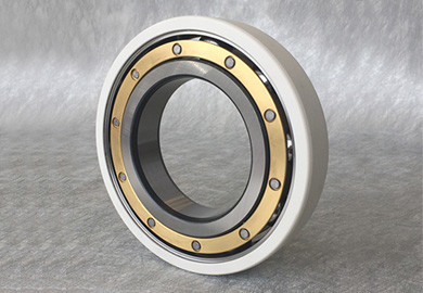 3047-SATLB china insulated bearing manufacturers Electric Insulated Bearing