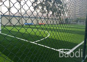 China Carbon Steel Green Pvc Coated Chain Link Fence Anti Alkali For Sports Field wholesale