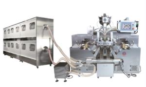 China Big Veggie Soft Gelatin Capsule Machine SS304 SS316L wholesale