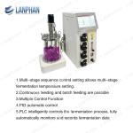 Yeast Spirulina Lab Glass Bioreactor Fermenter Bioreactor Animal Cell Culture
