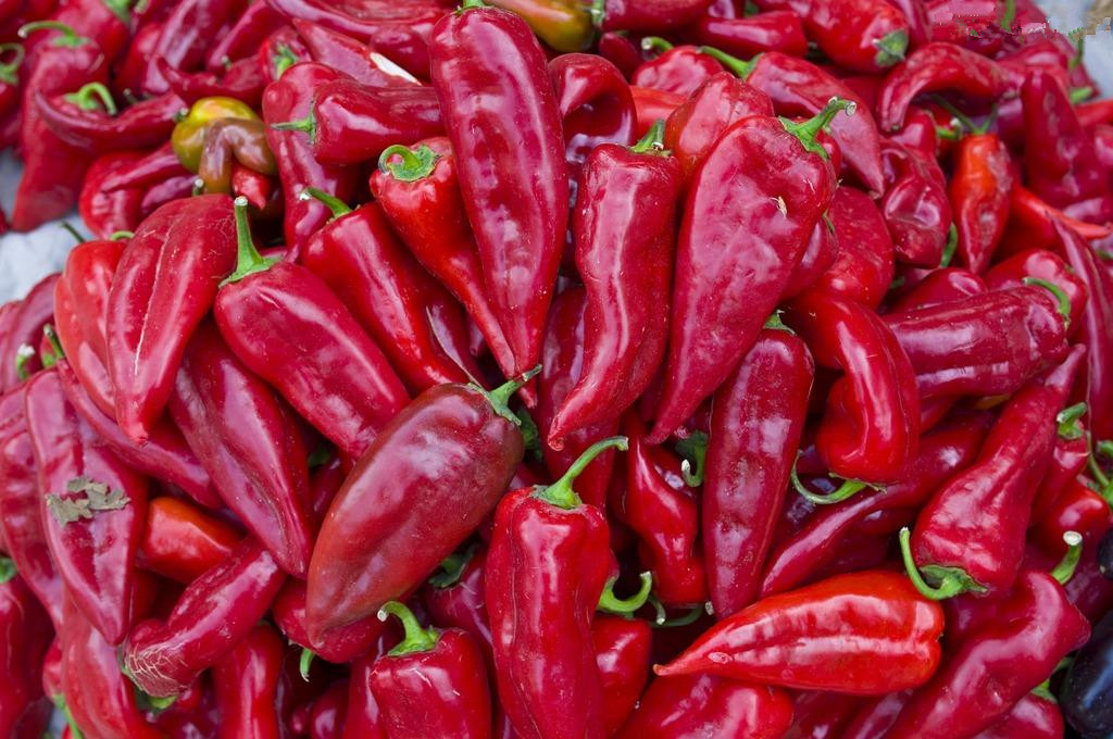 Medium Spicy Yidu Chili 100% Pure Pungent Mild Dried Red Chilies