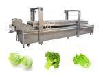 Automatic Food Precooking Vegetable Blanching and Cooking Machine
