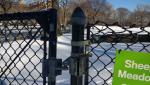 chain wire fence roll