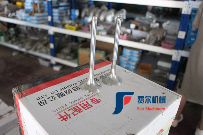 WP123003QD Weichai Engine Spare Parts Air Intake Valve 612600050073