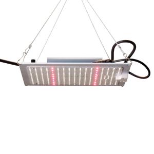 China Blue 2.7gumol/S/W 300W Vertical Grow Lights wholesale