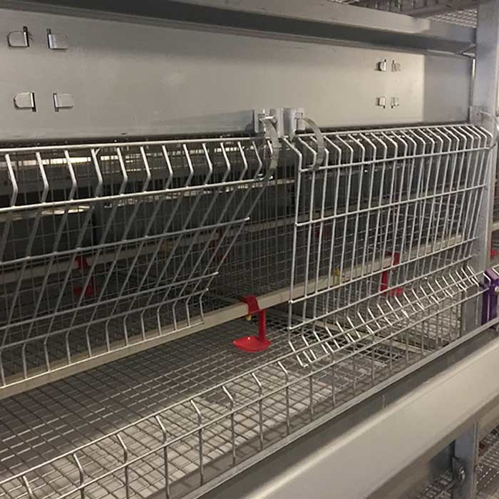 H Type 4 Tier Modern Poultry Cages , 120CM Easy To Install Building Chicken Cages