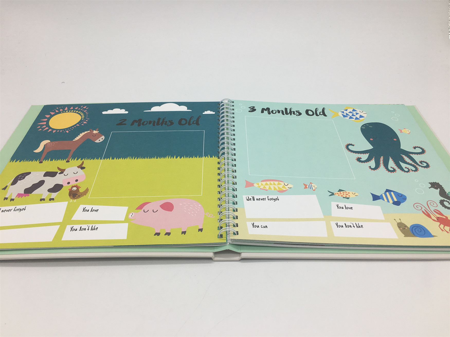 Baby'S First Year Record Scrapbook Photo Album For Baby Memory Collection