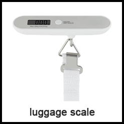 Stainless Steel Digital Kitchen Scale with Bowl Portable Battery-Powered Food Weighting Scale
