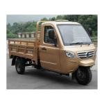 Adult Fully Enclosed Cabin Cargo 3 Wheel Motorcycle Tricycle with 1000W Power