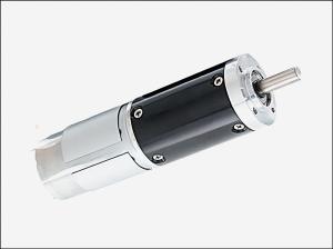 China Electric Curtains Motor 29MM 24V 20W 1622RPM Brush Gear Motor Venetian Blind wholesale