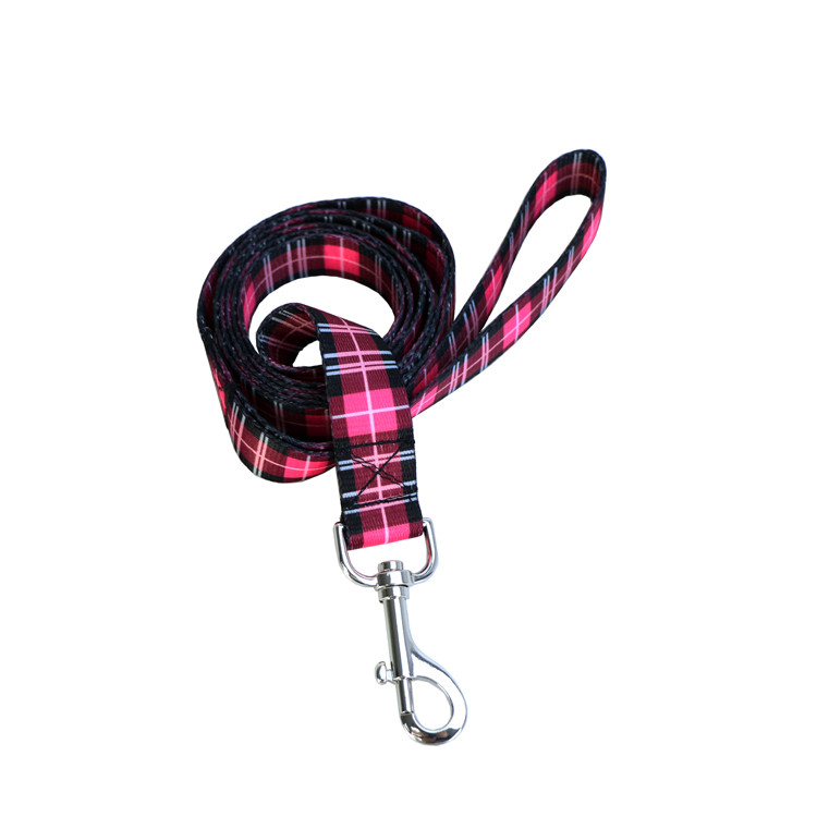 Metal Buckle Seatbelt Pet Collars Leashes 2.5CM Width OEM For Dog