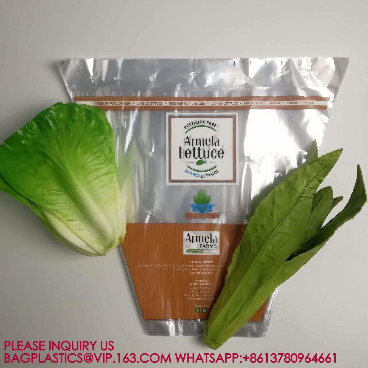 Manufacture Eco-Friendly Cellophane Vegetable Bags Customize Logo Lettuce Packaging Bag