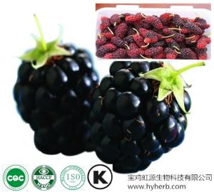 China High quality organic dried Mulberry Fruit Extract powder wholesale