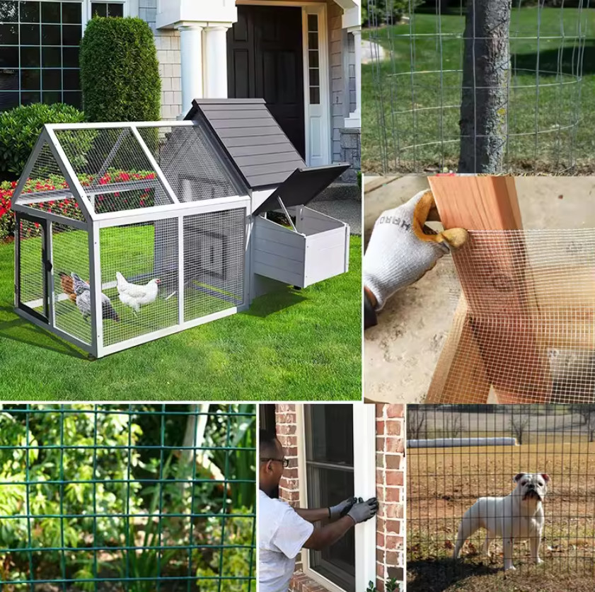 Customizable Green PVC Coated Welded Wire Mesh Rolls Low Carbon Steel Q195 Free Samples