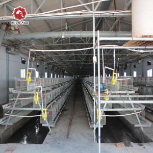 China Farming Coop Chick Rearing Cage Chickenl Husbandry Equipment wholesale