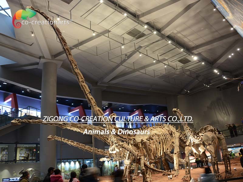 Sunproof Life Size Dinosaur Model Skeleton Mamenchisaurus Skeleton 15m
