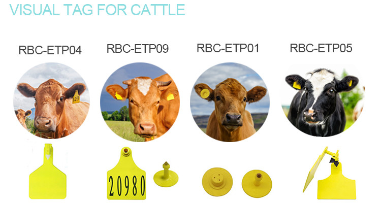 860 - 960mhz TPU Reflective Cattle Ear Tags Customized Color