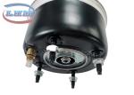 Jaguar XJ F308 609 001 Automotive Shock Absorber