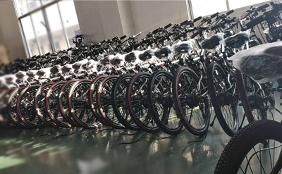 Hard Wearing Foldable Electric Bike , 350w 48 Volt Ebike Brushless Motor