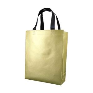 China Spunbonded Reusable Non Woven Shopping Bags Biodegradable Non Woven Fabric Bag wholesale
