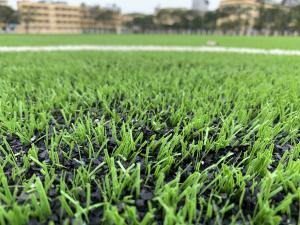 China AVG 60mm Turf Grass Carpet For Factory Soccer Football Field Outdoor wholesale
