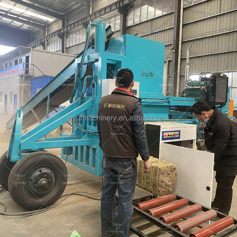 Tractor Trailed Electric Motor Wood Sawdust Baler Machine for Bedding Compressing