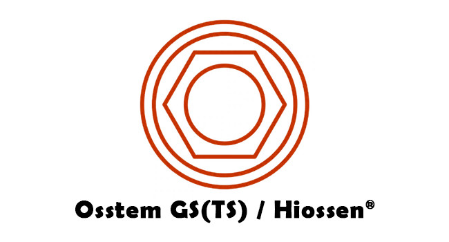 Osstem GS(TS)® Dental Implant Titanium Angled Abutment Mini / Regular -- 17°/30° Degree