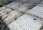 Sturdy Iron Wire Gabion Mesh for Plant Protection