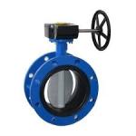 1" Stainless Steel Wafer Butterfly Valve Flange Type 150LB