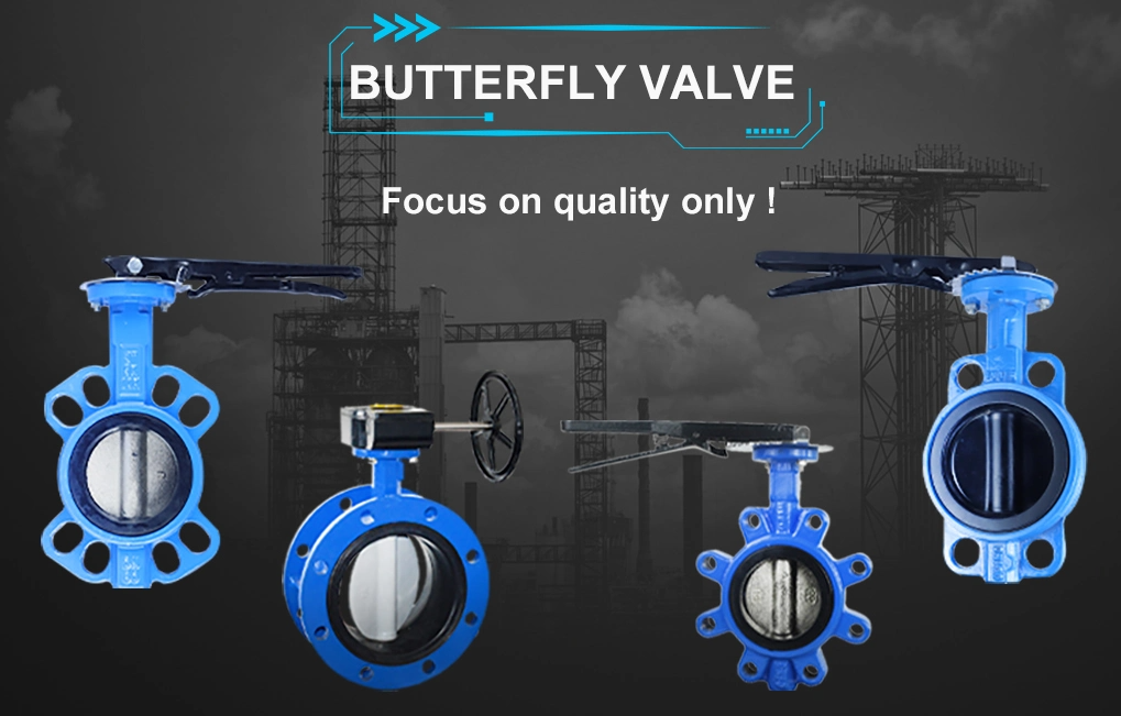 Diaphragm Structure Single Ball Orifice Air Relief Vent Valve for Customized Needs