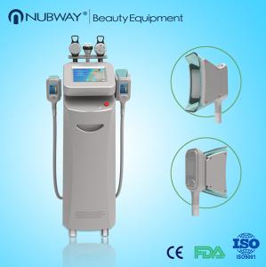 China Cryolipolysis Vacuum RF,Cryolipolysis Machines For Fat Reduction wholesale